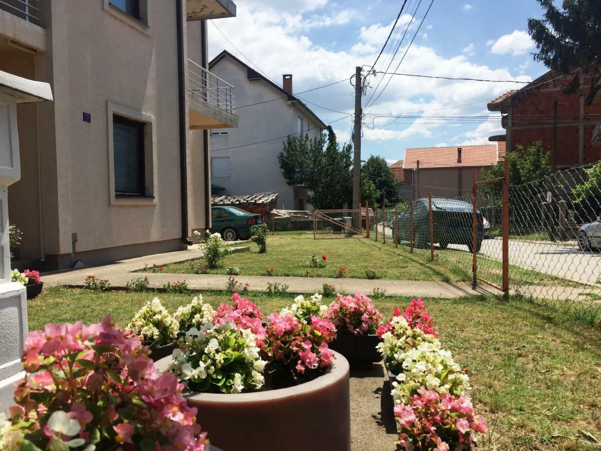 Nis Apartman מראה חיצוני תמונה